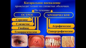 Патология - Воспаление - Лекция