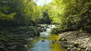 Native American Flute Music & Canyon Sounds, Sleep Music, Relaxing Music, Meditation Music, Calm