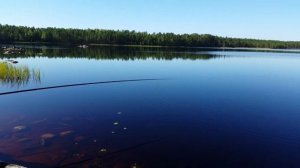 Озеро Половинное (Карелия,Петрозаводск) 23-08-2015