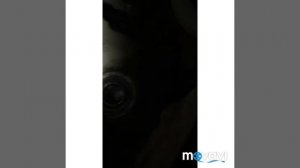 Форд Мондео замена сальника привода левого)