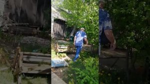 Самарская лука. Заповедник. Причал "Шелехметь" происходит какое-то безумие