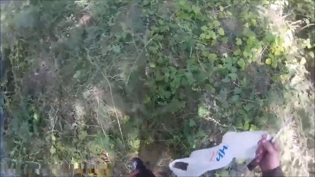 За грибами с Сергеич78 смотреть онлайн