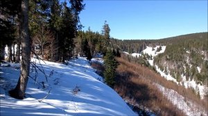 Hensoldt Wetzlar Dialyt 10x50 | German Binocular WW2 | бинокль немецкой армии