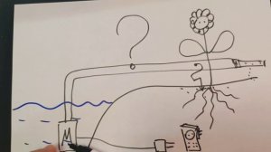 Насос и капельный полив - как подключить правильно и что с давлением.