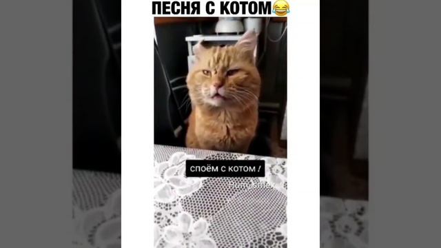 Обожаю этого поющего чуду )