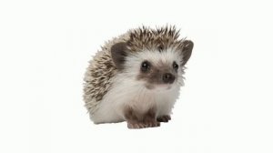 рандом кайф реп песни 2023 || песни из тиктока ч.4