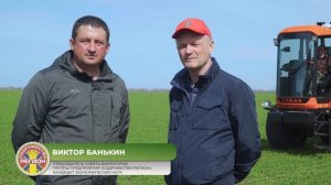 Технология выращивания  озимой  пшеницы в "Большом Морце"  часть I