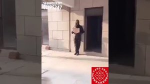 Китайцы приколисты