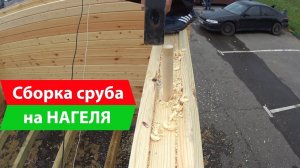 Монтаж нагеля. Как собирать сруб на деревянные нагеля. СК "КРОВ"