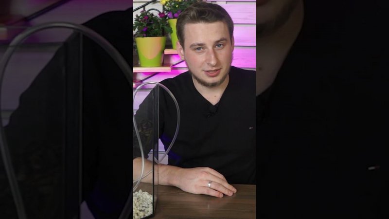 Если вы хотите завести рыбок Вам нужен "стартовый набор"