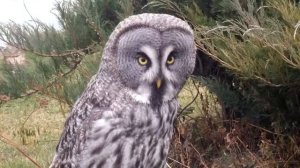 Экскурсия в заповедник 'Галичья Гора'