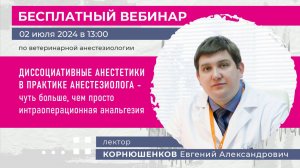 Диссоциативные анестетики в практике анестезиолога — Вебинар Корнюшенкова Евгения Александровича