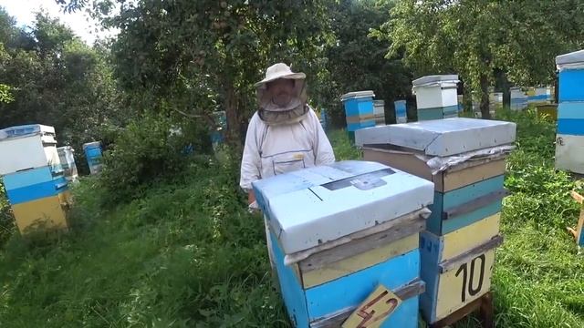 Июль на исходе. Подводим итоги. Когда качать мёд. Пасека Лаврова смотреть онлайн