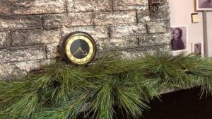 Живые хвойные ветки для Новогоднего декора