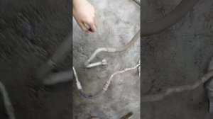 (750) Трубки кондиционера Фиат Гранде пунто мк3 199. трубки 51751097 51751096 51751095