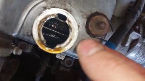 результат после lavr 200km+ сольвент, огорчил, но есть и плюсы