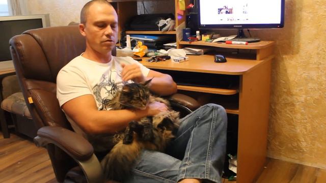 Мейн кун подрала собака смотреть онлайн