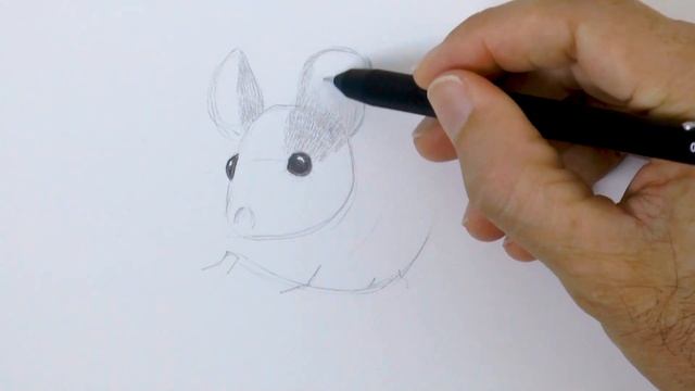 HOW TO DRAW A MOUSE - Easy and realistic - Narrated смотреть онлайн