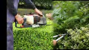 Garden Services for Professional Garden Maintenance - YouTube