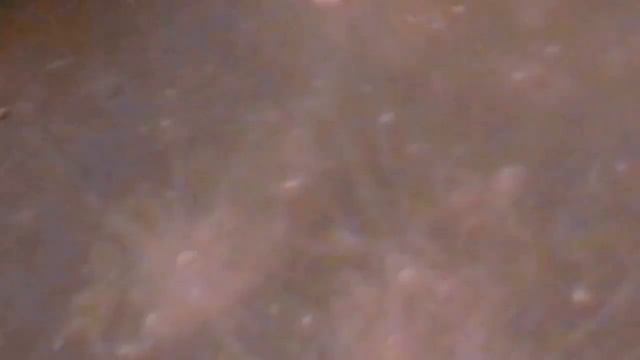 2023/9/28: Луна: вид со скамейки у Обелиска в Заречном + ''Aus der Tiefe rufe ich'' BWV 745 И.С Бах смотреть онлайн