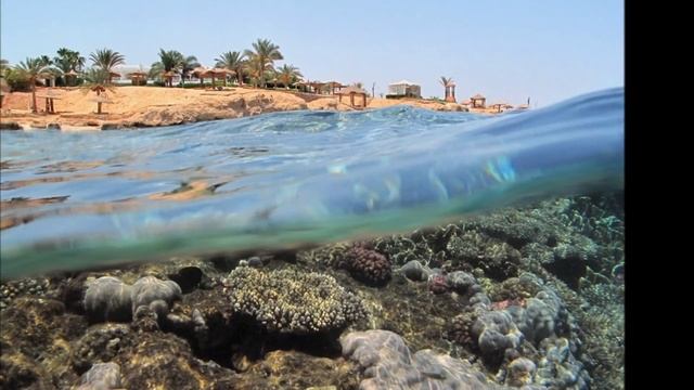 Прославление Иисуса христианами из Африки (26/08/12) смотреть онлайн