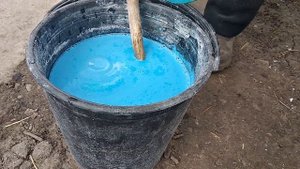 Если не обработаете этим малину ранней весной, то грибковые болезни малины лишат Вас 25% урожая
