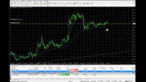 Stop Loss, как правильно ставить стоп лосс