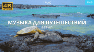 Расслабляющая музыка для путешествий | Успокаивающая музыка для сна, путешествий, работы | Без АП