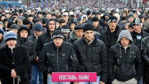 СРОЧНО! НОВОЕ РИШЕНИЕ ПРАВИТЕЛЬСТВА РФ: ВЫГНАТЬ ВСЕХ МИГРАНТОВ ТАДЖИКОВ УЗБЕКОВ!