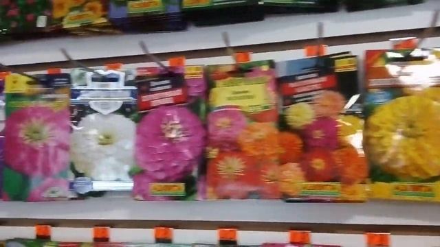 Поход в новый магазин садовый дворик смотреть онлайн