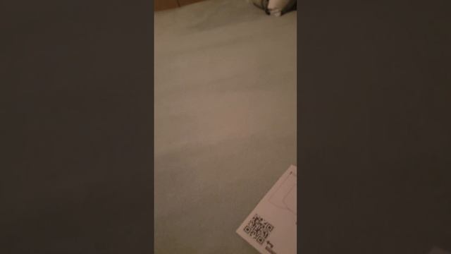 Cool hatchet смотреть онлайн