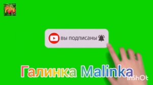 Ольга Уралочка live /Шок /Скрывают новую квартиру /Обзор Влогов /Уралочка и Сафар /