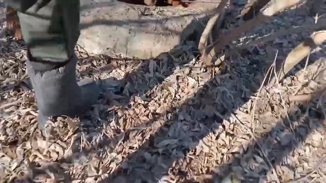 поиски металла смотреть онлайн