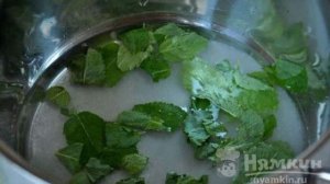 Лимонад из тархуна и мяты