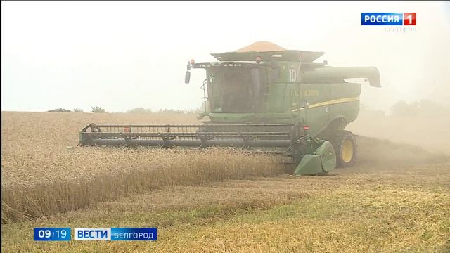 Программисты НИУ "БелГУ" представили прототип интеллектуальной системы смотреть онлайн