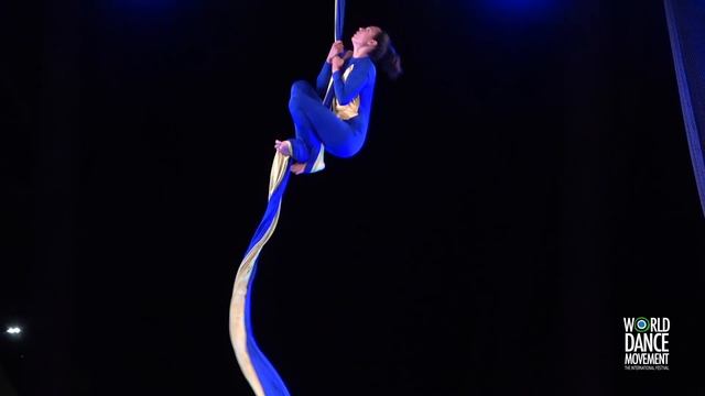 Воздушные полотна. Aerial championship  @WorldDanceMovement