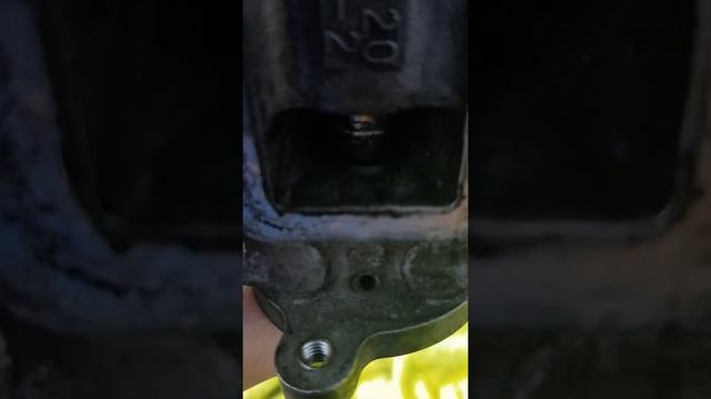 Lexus Dpf Egr Fixed Using Terraclean