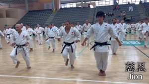 2023 Tatsuya Naka Sensei Budo Karate Seminar in San Fernando, Spain