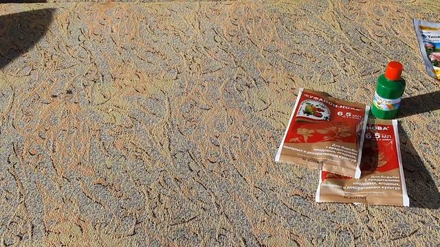 Препараты для винограда! Обработка винограда! Мильдью и оидиум. смотреть онлайн