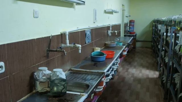 Бизнес идея - разведение пиявок смотреть онлайн