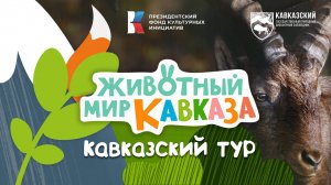 Животный мир Кавказа - Кавказский тур