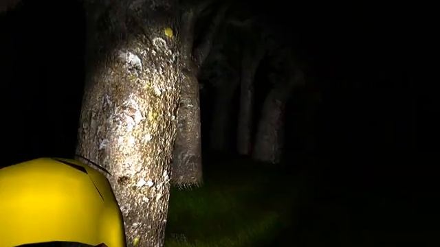 Survivers [Beta] 2