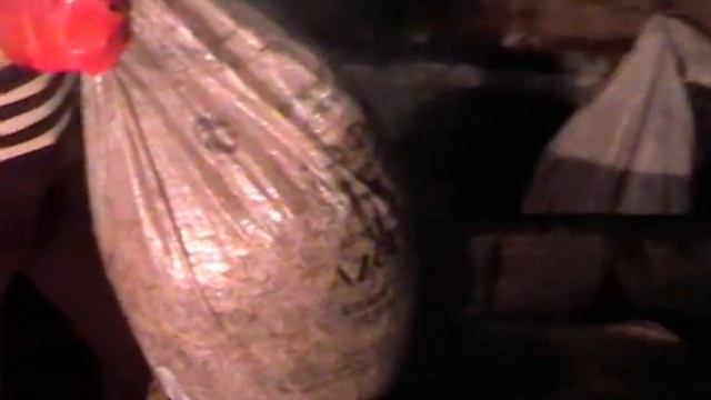 Технология выращивания вешенки смотреть онлайн