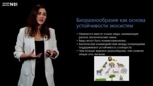 Устойчивость и динамика экосистем. Видеоурок 29. Биология 11 класс