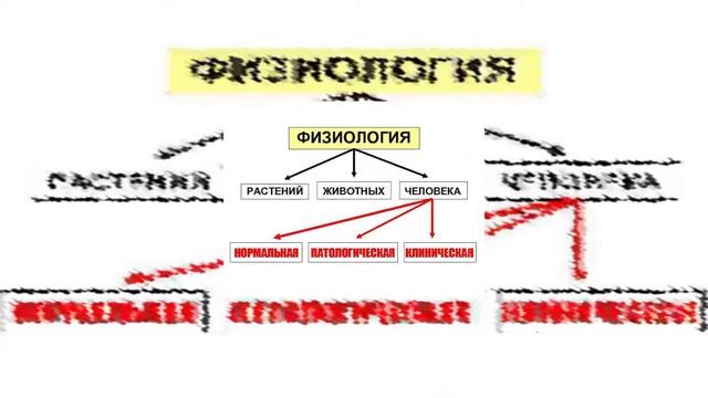 Биология 7 класс. Параграф 1. МНОГООБРАЗИЕ ЖИВЫХ ОРГАНИЗМОВ И ИХ ИЗУЧЕНИЕ.