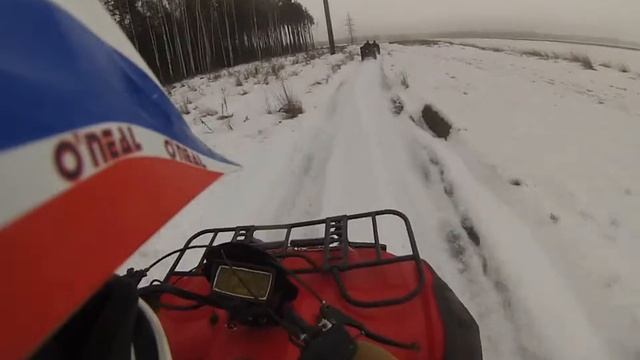 бешеный гризлик смотреть онлайн