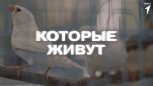 Движение Первых приглашает тебя принять участие в проекте «Всероссийские юннатские экспедиции»