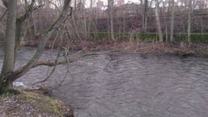 Прогулка по городу Петрозаводск, что стоит посмотреть. Основные достопримечательности Петрозаводска.