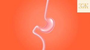 Зачем людям аппендикс | Действительно ли нам нужен аппендикс?