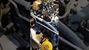 NISSAN PRIMERA P12 не заводится. Замена цепи не помогла